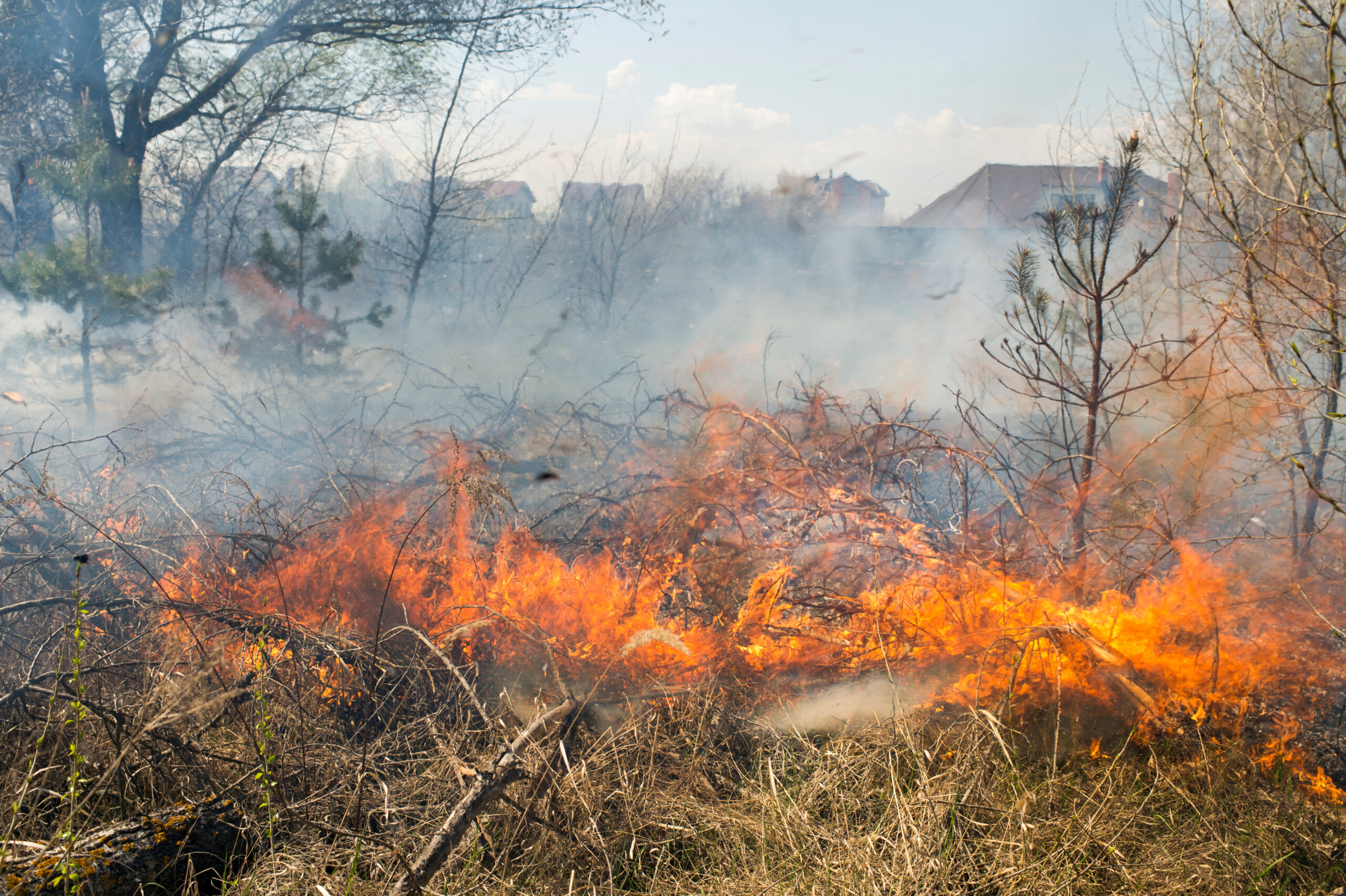 Hallan a hombre muerto tras incendio forestal en Reno 1 AdobeStock 142634050