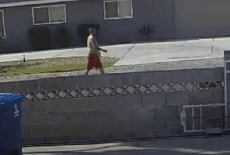 Arrestan a hombre por lanzar a un perrito en un basurero de Las Vegas