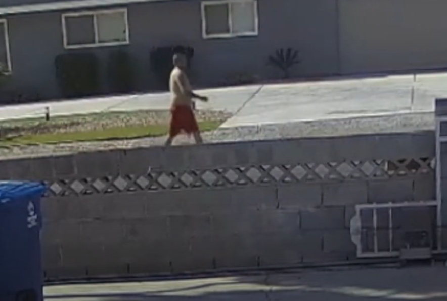 Arrestan a hombre por lanzar a un perrito en un basurero de Las Vegas