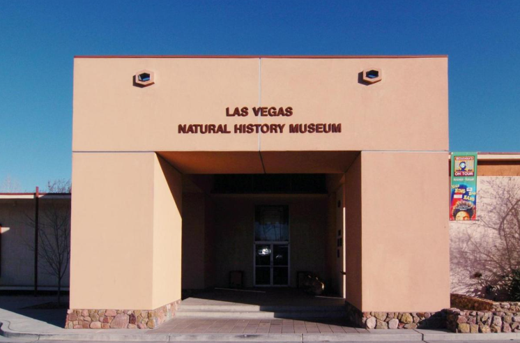 Rainforest: 4 razones para visitar la nueva aventura tropical en Las Vegas 1 Screenshot 2025 05 12 100626