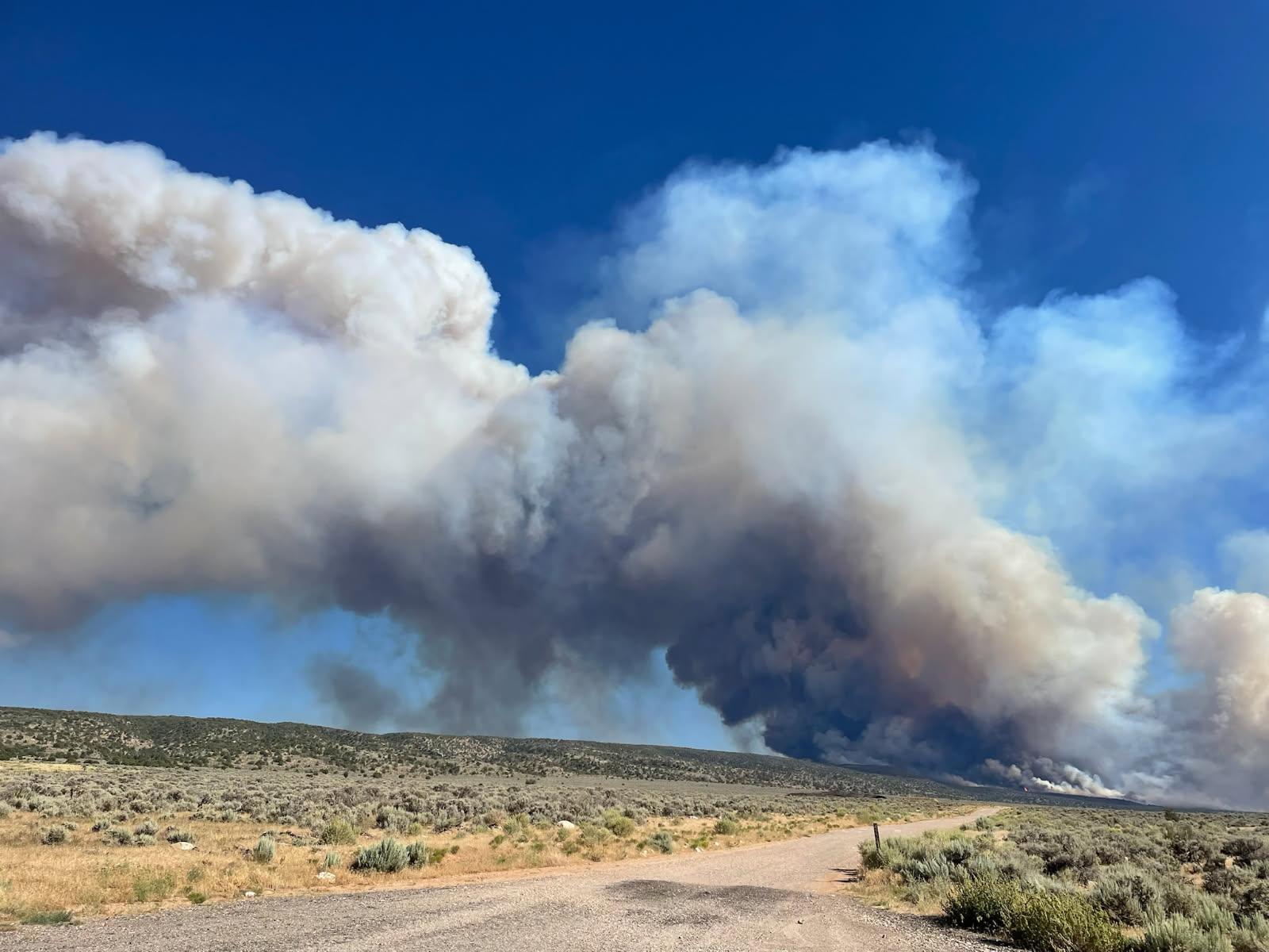 Gran Cañón: Alerta Máxima por Incendio que Devora 1,000 Acres y Fuerza Evacuación Total del North Rim 1 white sage