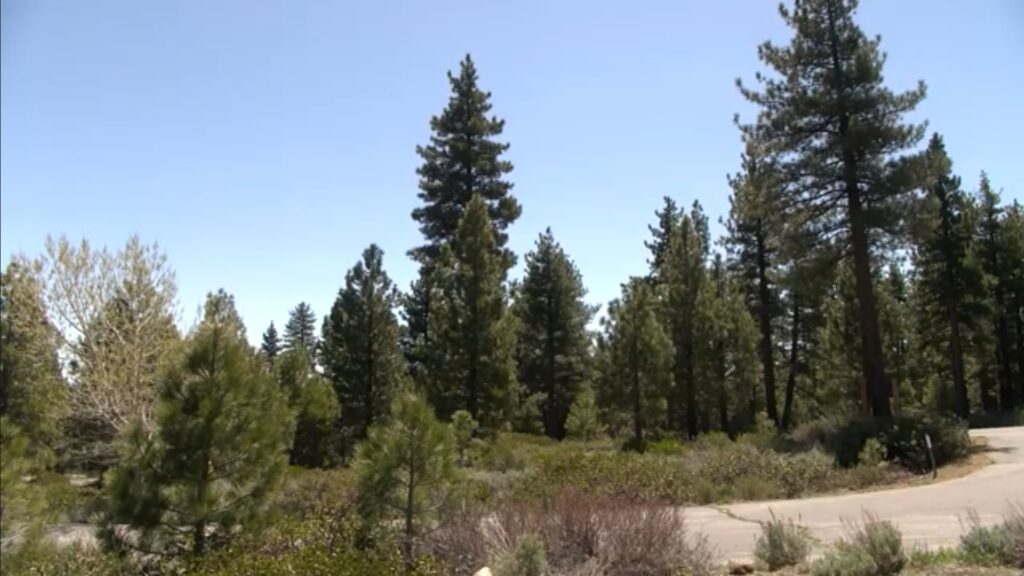 Tierras públicas: la polémica venta de 460 mil acres en Nevada divide opiniones