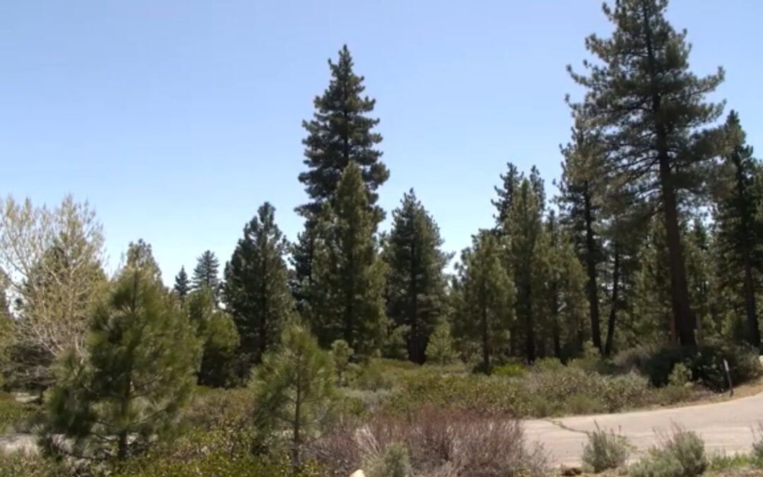 Tierras públicas: la polémica venta de 460 mil acres en Nevada divide opiniones