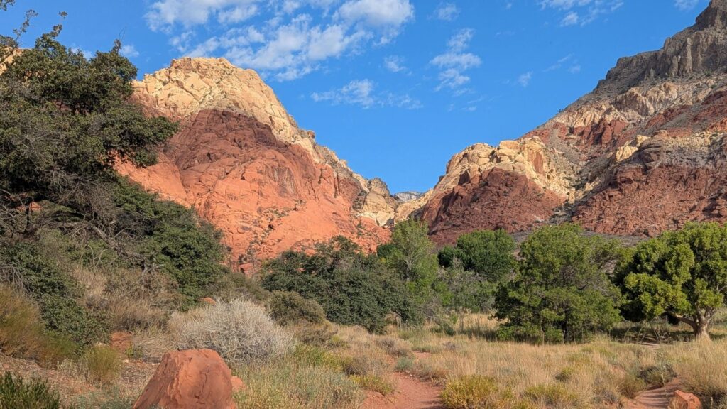 Senadora por Nevada critica sugerencia de Trump sobre resumir pruebas de armas nucleares
