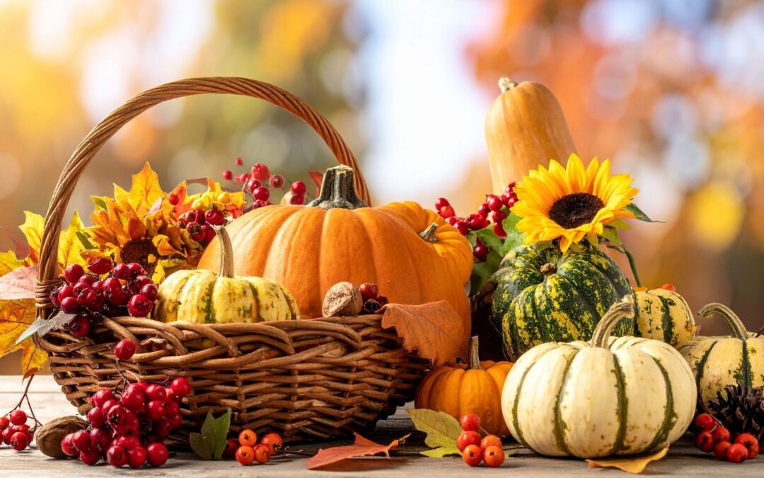 Grandes mercados lanzan ofertas económicas para cenas de Thanksgiving ante el impago de SNAP