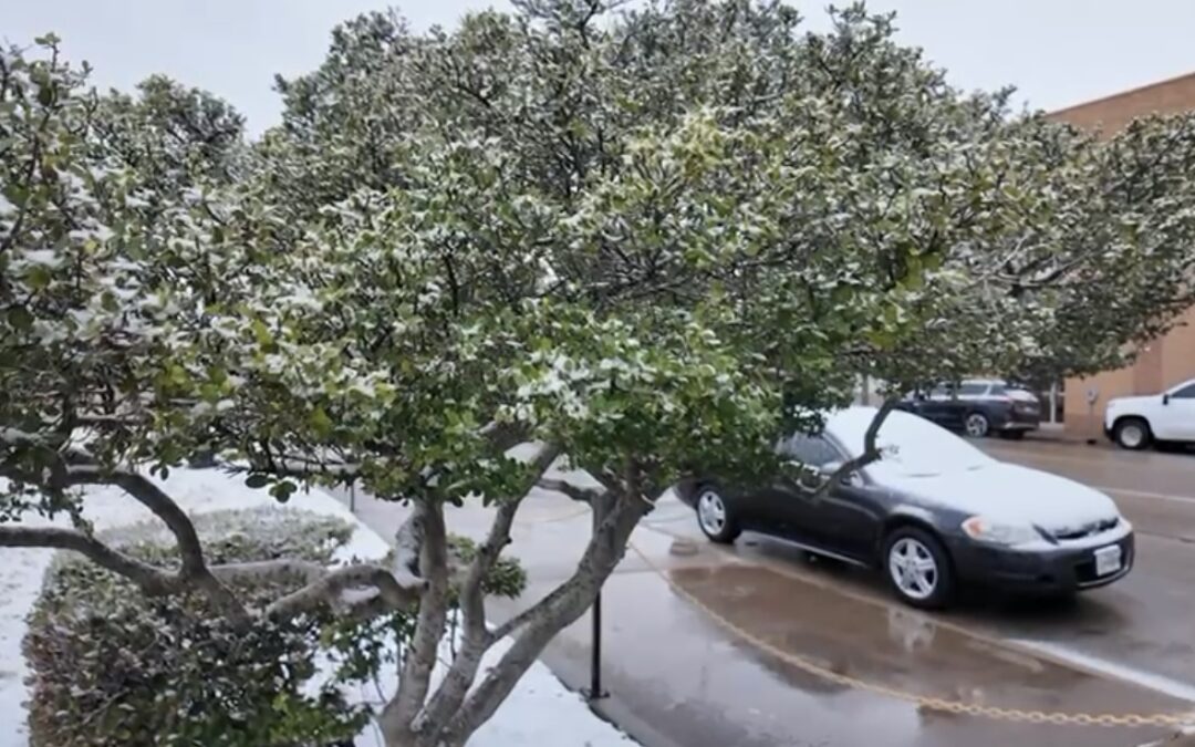 Nieve en el Permian Basin: Autoridades Recomiendan Precauciones Cruciales