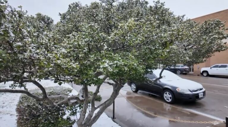Nieve en el Permian Basin: Autoridades Recomiendan Precauciones Cruciales