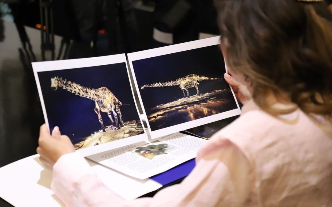 San Pedro Garza García Confirma que el Fósil ‘Einstein’ Fue Prestado, No Donado