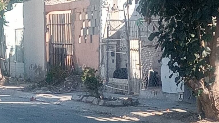 Seguridad en Torreón: Peligro por Perros Agresivos y Abandono en Quintas los Nogales