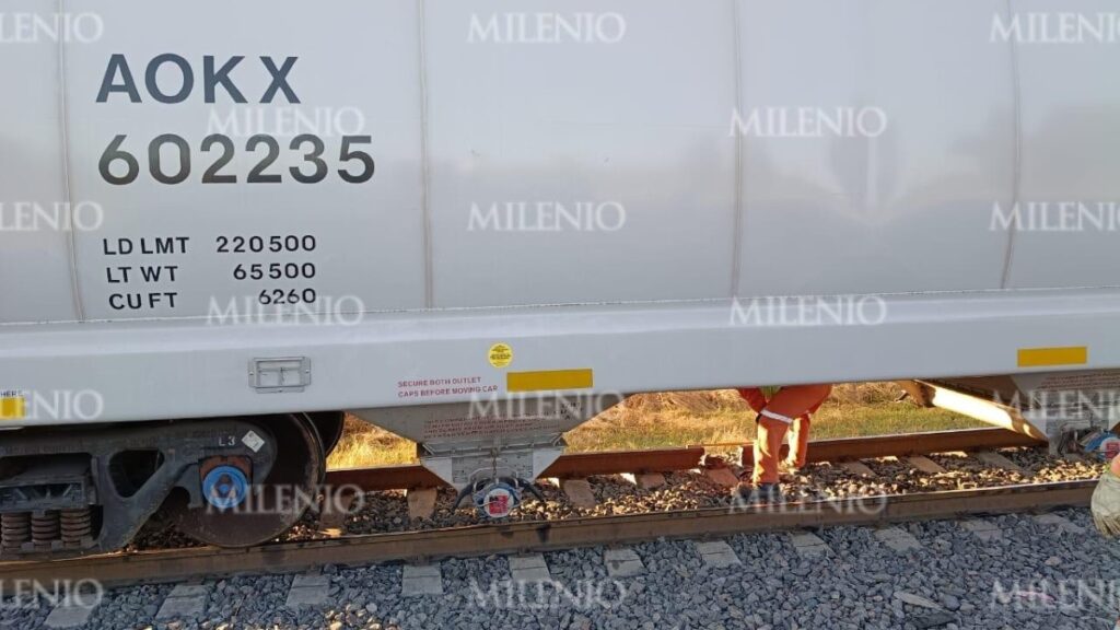 Cártel Santa Rosa de Lima Sabatea un Tren en Cortazar: Intento de Robo Revelado