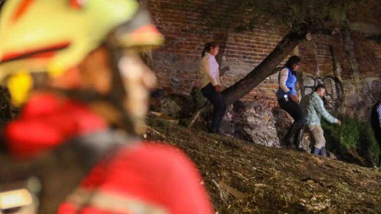 Festejos de Fin de Año Generan 17 Incendios en Viviendas de León: Seguridad en Riesgo