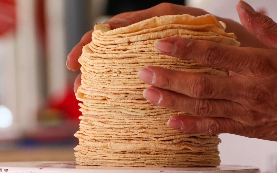 Precios de la Tortilla y Gasolina en Puebla: Actualizaciones Clave para el 2026