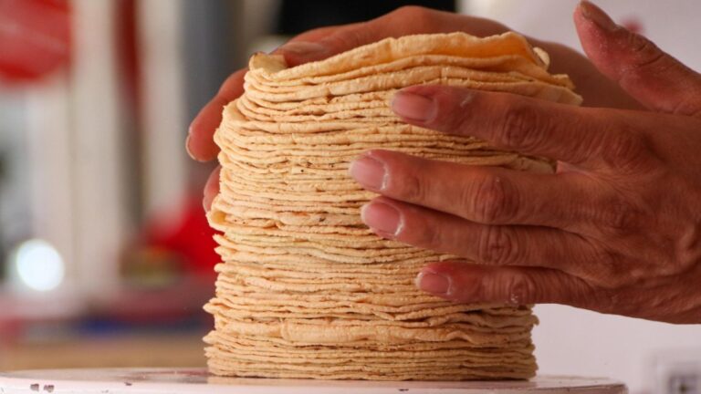 Precios de la Tortilla y Gasolina en Puebla: Actualizaciones Clave para el 2026