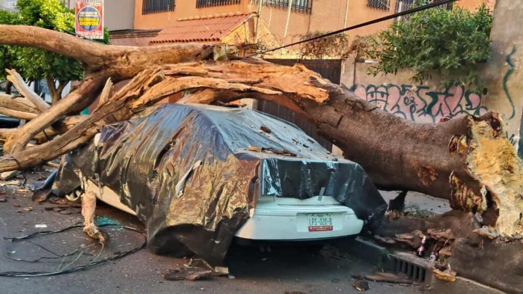 Sismo en Guerrero: Más de 30 inmuebles afectados en Ciudad de México y riesgo de colapso en dos