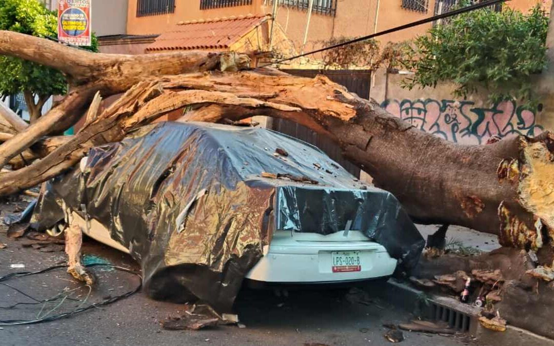 Sismo en Guerrero: Más de 30 inmuebles afectados en Ciudad de México y riesgo de colapso en dos