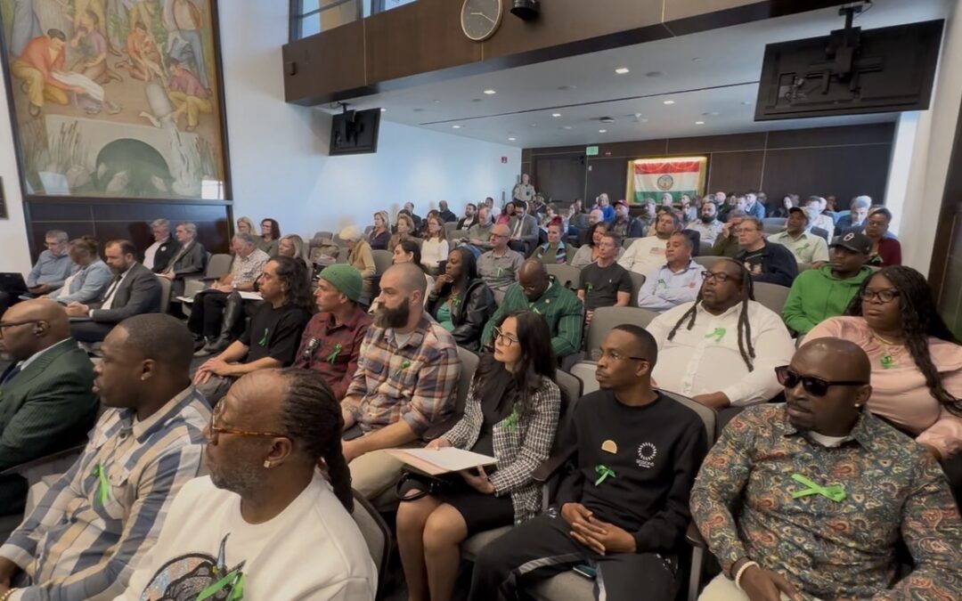 Actualizaciones Clave en el Programa de Cannabis para Áreas No Incorporadas de San Diego