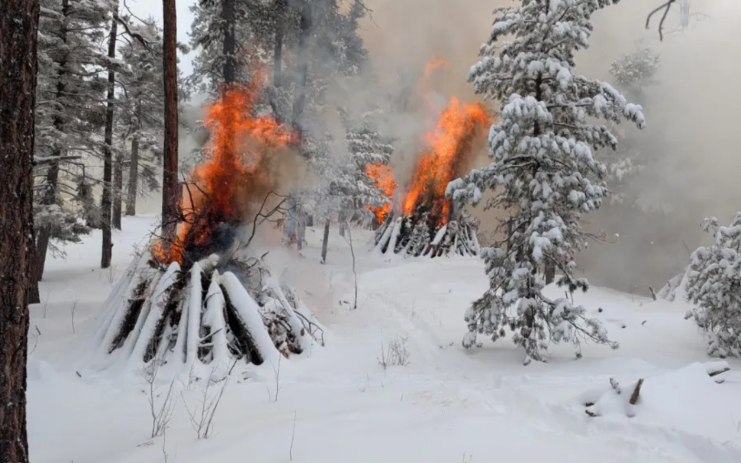 Prevención de Incendios: Bosque Nacional de Santa Fe Realiza Quemaduras Controladas