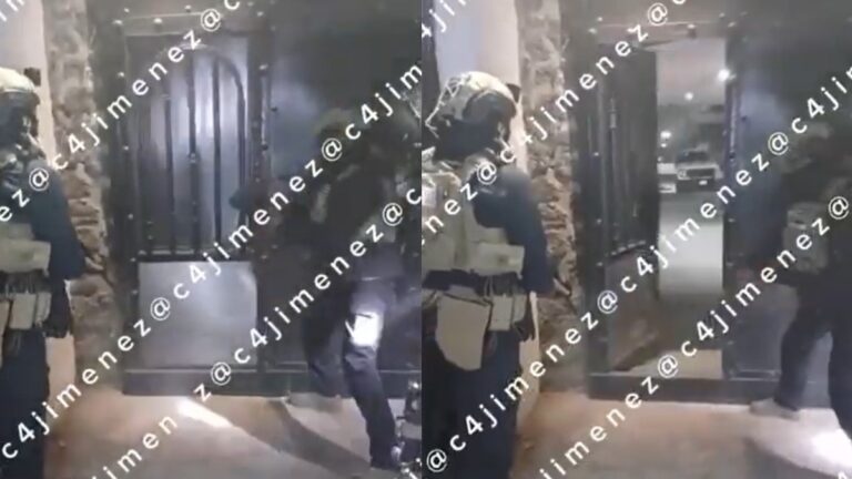 Xochimilco: Nacen Perritos Durante Operativo Policial contra el Cártel de Sinaloa