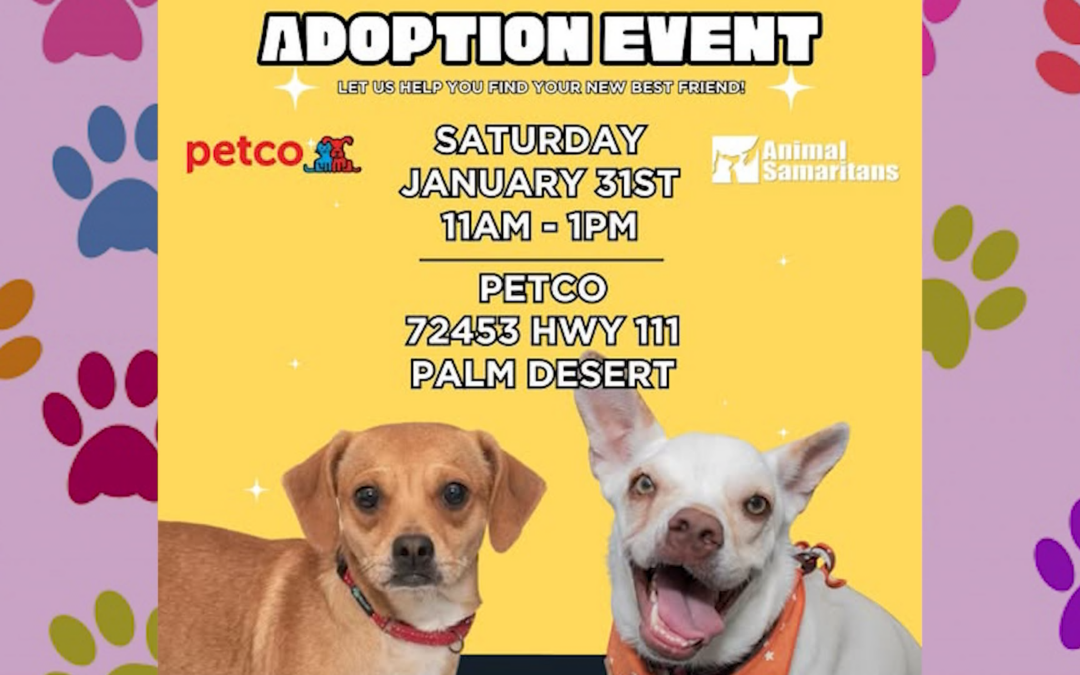 Adopción de Mascotas: Animal Samaritans Organiza Evento en Petco Palm Desert