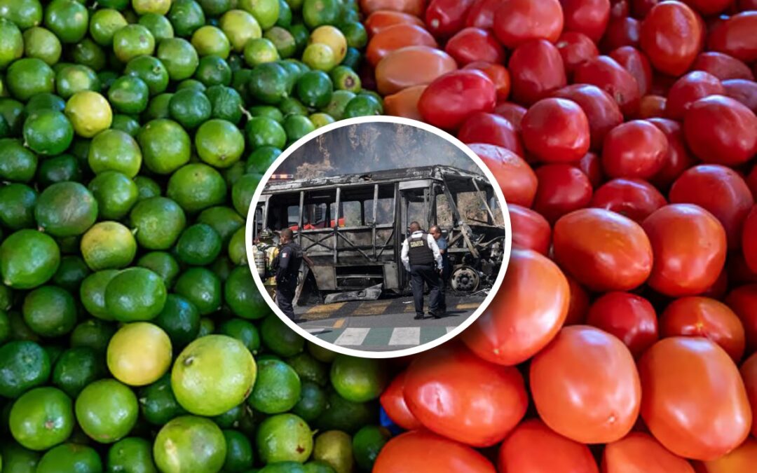 Aumento de precios del jitomate y limón en Jalisco tras bloqueos