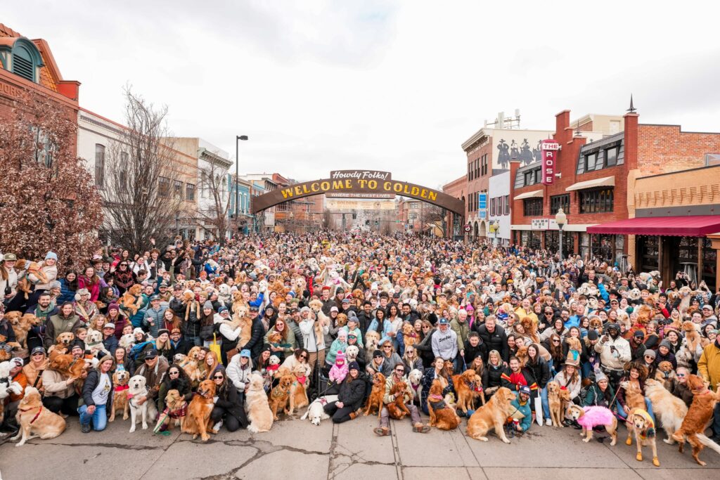 Goldens in Golden: Una Celebración Imperdible para los Amantes de los Golden Retrievers en Colorado