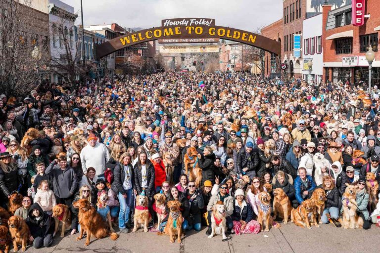 Goldens in Golden: El Encuentro de Golden Retrievers que Rompe Récords