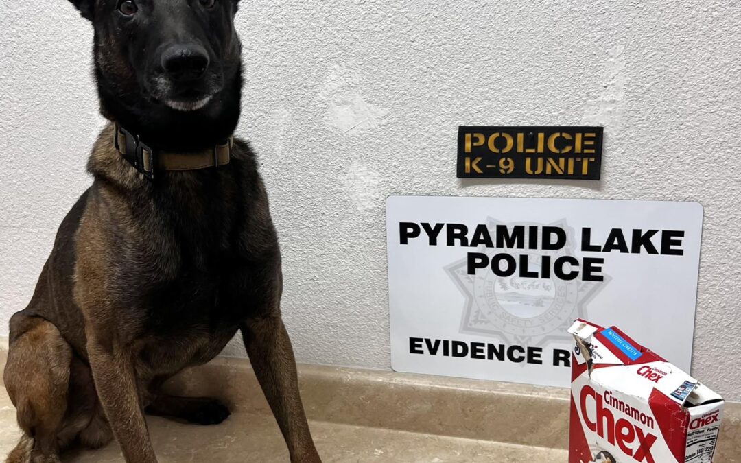 Metanfetamina oculta en caja de cereal: K9 descubre 54 gramos de droga