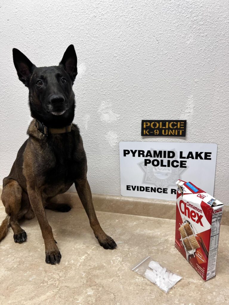 Metanfetamina oculta en caja de cereal: K9 descubre 54 gramos de droga