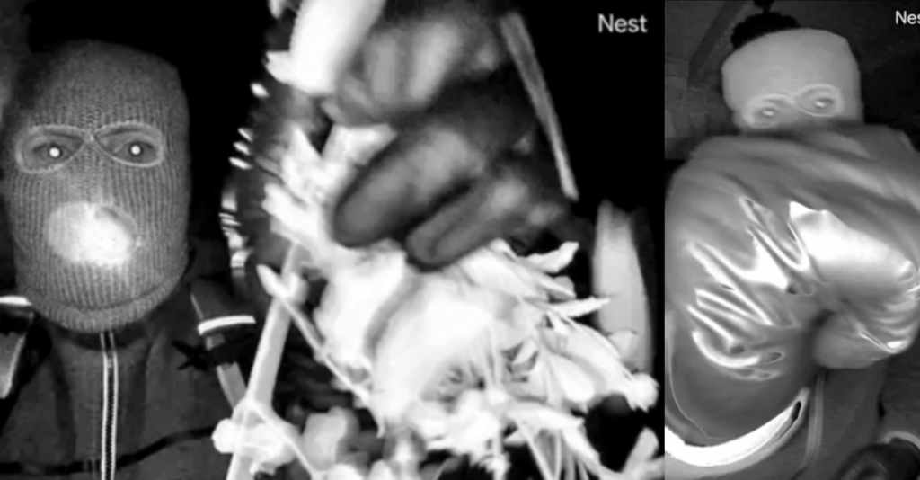 Nancy Guthrie: Imágenes del FBI Revelan Nuevos Detalles en su Desaparición