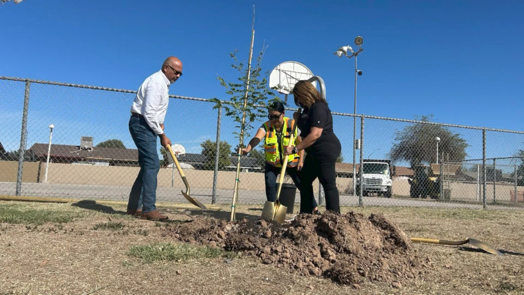 Reforestación en Nosotros Park: Mejorando los Espacios Públicos de Calexico