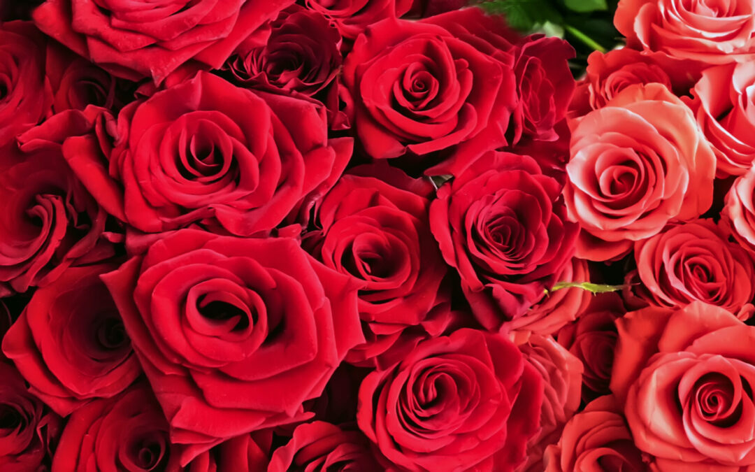 San Diego, el segundo mejor destino en EE. UU. para celebrar el Día de San Valentín