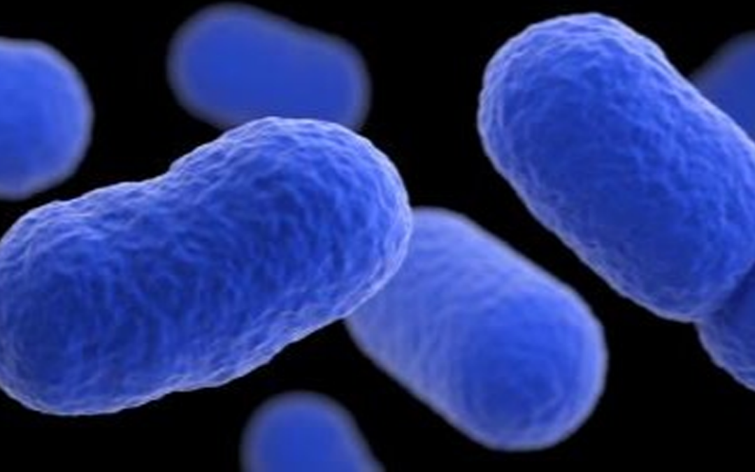 Tragedia en Santa Fe: Recién nacido muere por Listeria vinculada a leche cruda