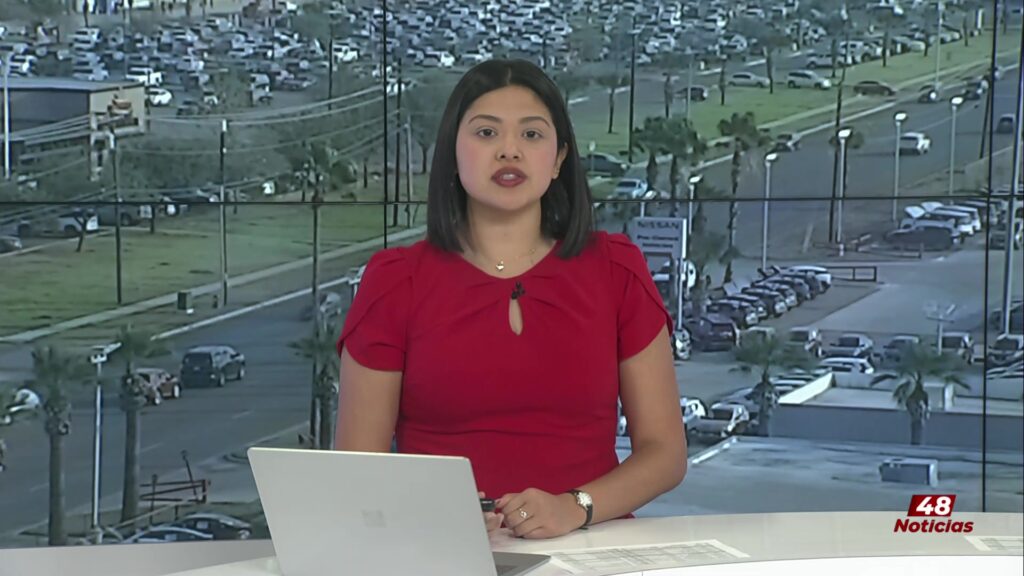 Clases de Ciudadanía en la Biblioteca de Alamo: Tu Camino hacia la Naturalización