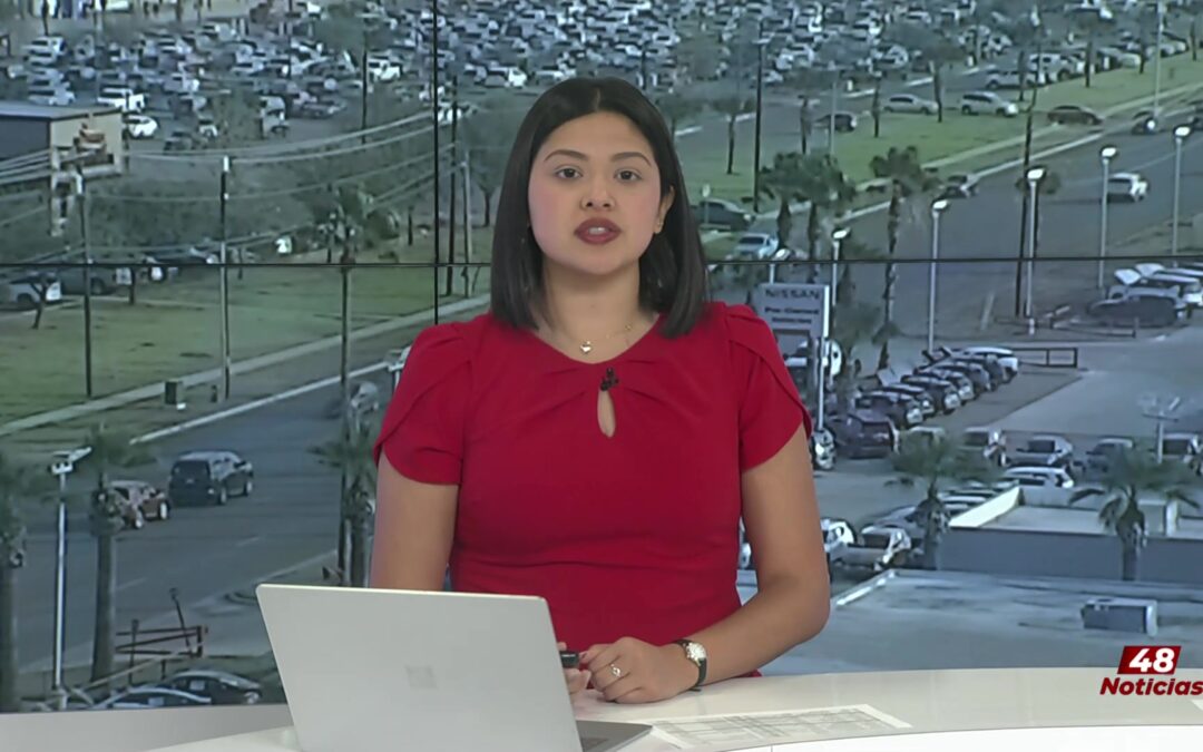 Clases de Ciudadanía en la Biblioteca de Alamo: Tu Camino hacia la Naturalización