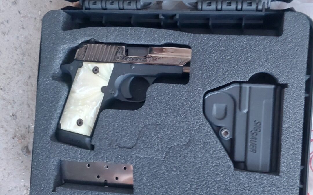 Armas recuperadas: misterioso hallazgo de una SIG Sauer en Nevada