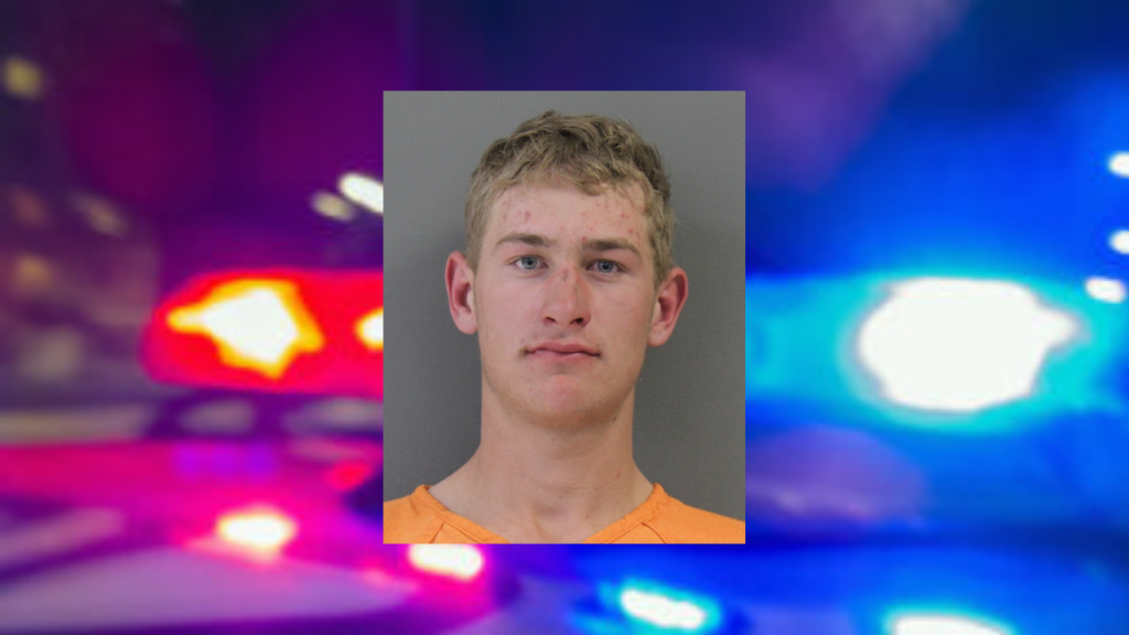 Detención de Adolescente por Robo en Seminole: Vandalismo y Más