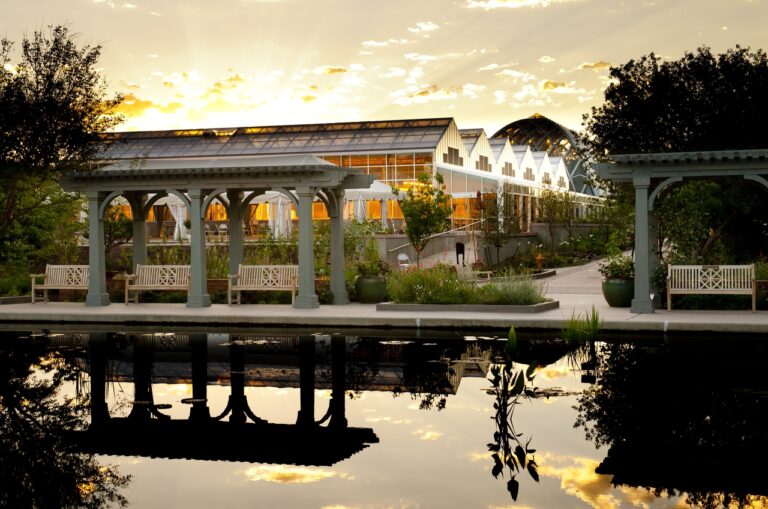 Descubre la emocionante cartelera 2026 de la Serie de Conciertos de Verano en Denver Botanic Gardens