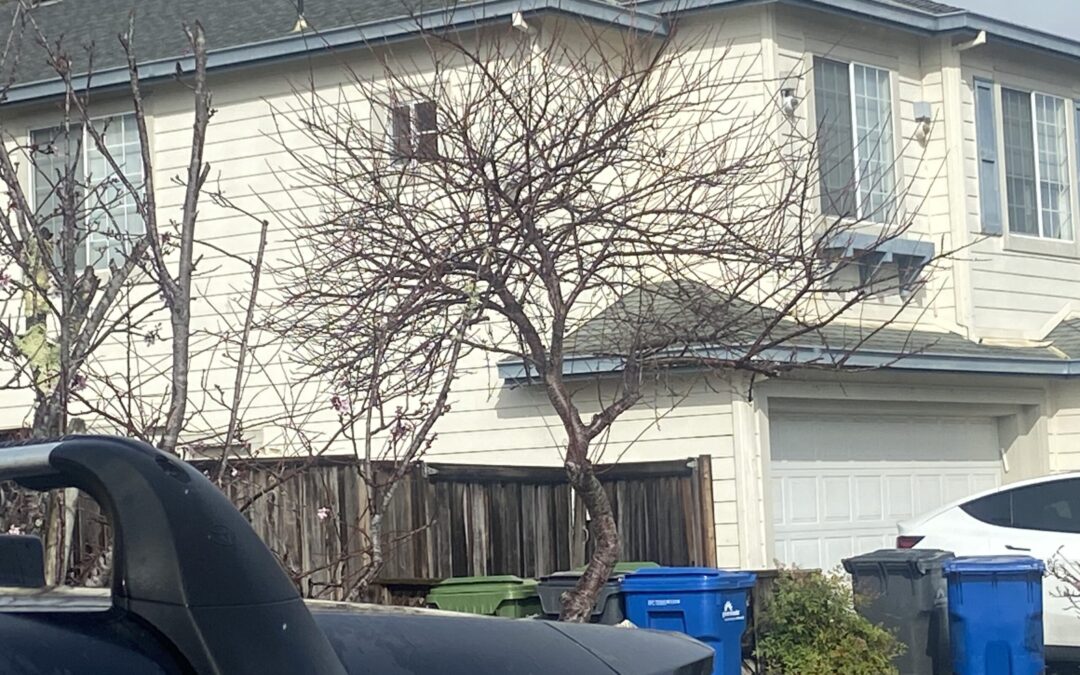 Salinas lanza programa de asistencia para inquilinos en riesgo de desalojo