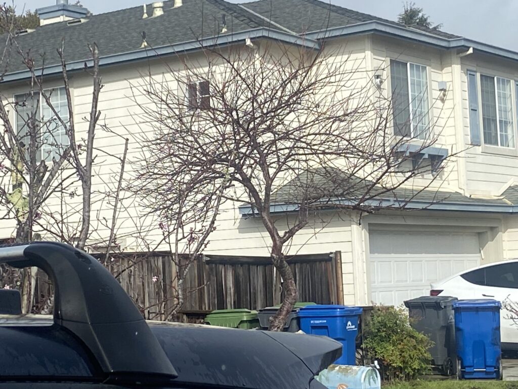 Programa de Asistencia para la Renta en Salinas: Alivio para Inquilinos en Riesgo de Desalojo