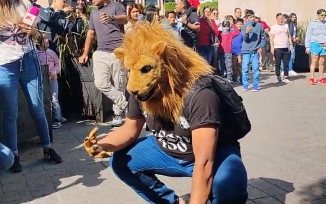 ¿Un solo therians en León? La convivencia en el Arco de la Calzada sorprende a todos