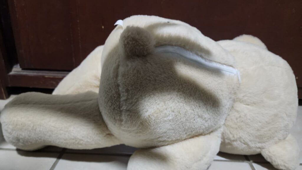 Sentencia de 9 Años de Prisión por Abuso a Menor: Justicia en Acción