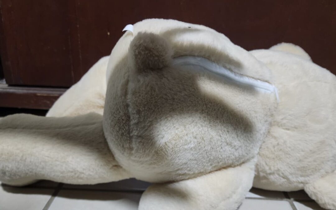 Sentencia de 9 Años de Prisión por Abuso a Menor: Justicia en Acción