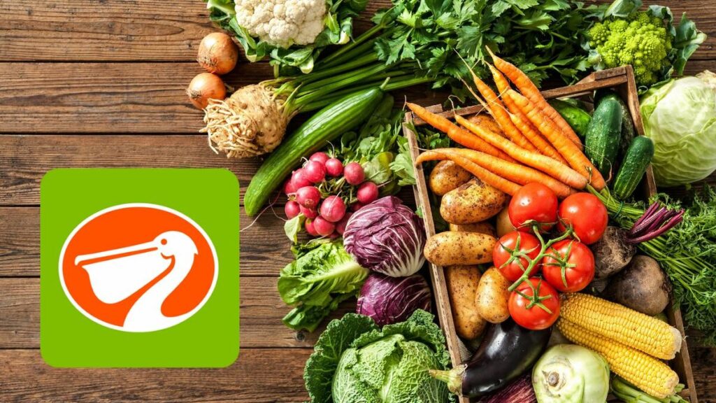 Grandes Descuentos en el Miércoles de Plaza en La Comer: ¡Aprovecha Hoy 25 de Febrero de 2026!