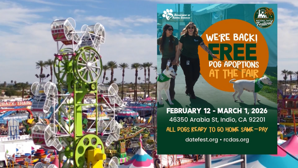 ¡No te pierdas las adopciones de perros gratuitas en la Feria del Condado este fin de semana!