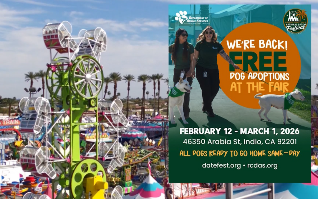 ¡No te pierdas las adopciones de perros gratuitas en la Feria del Condado este fin de semana!