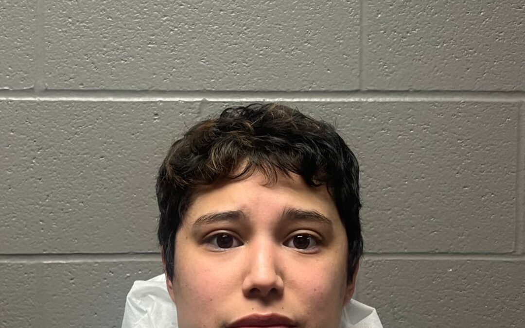 Accidente mortal entre un vehículo y un peatón: investigan a conductora por homicidio imprudencial