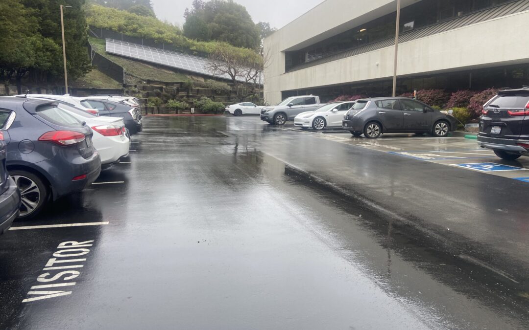 Condado de Santa Cruz Implementa Prohibición de Operativos Migratorios en Escuelas Públicas