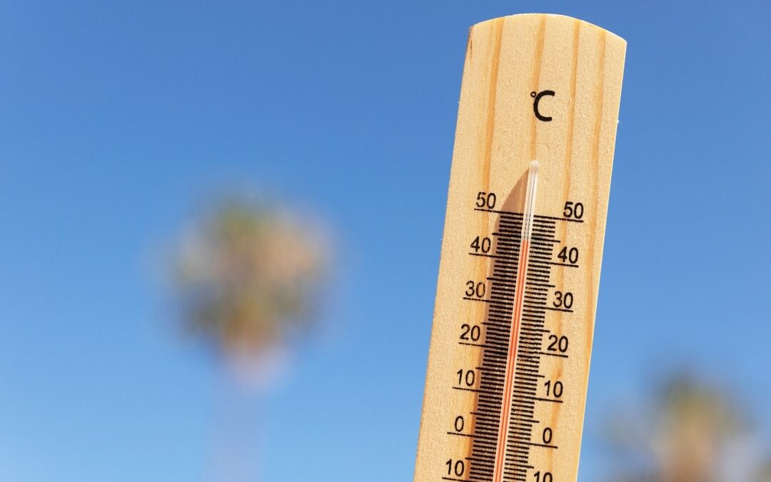 Ola de Calor en México: Temperaturas de Hasta 45° Afectan Diversos Estados
