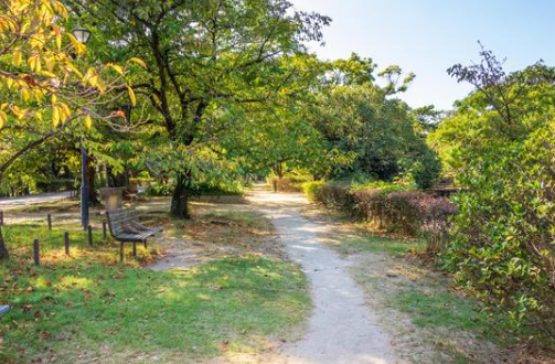 Parques: 120 mil dólares del Reno Rodeo transformarán el Idlewild