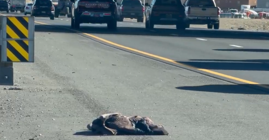 Trágico choque de Tesla en la Interestatal 40 de Albuquerque deja un fallecido